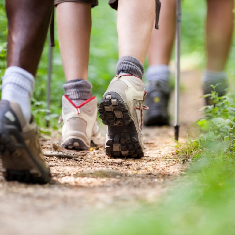 Shoes of people trekking in wood