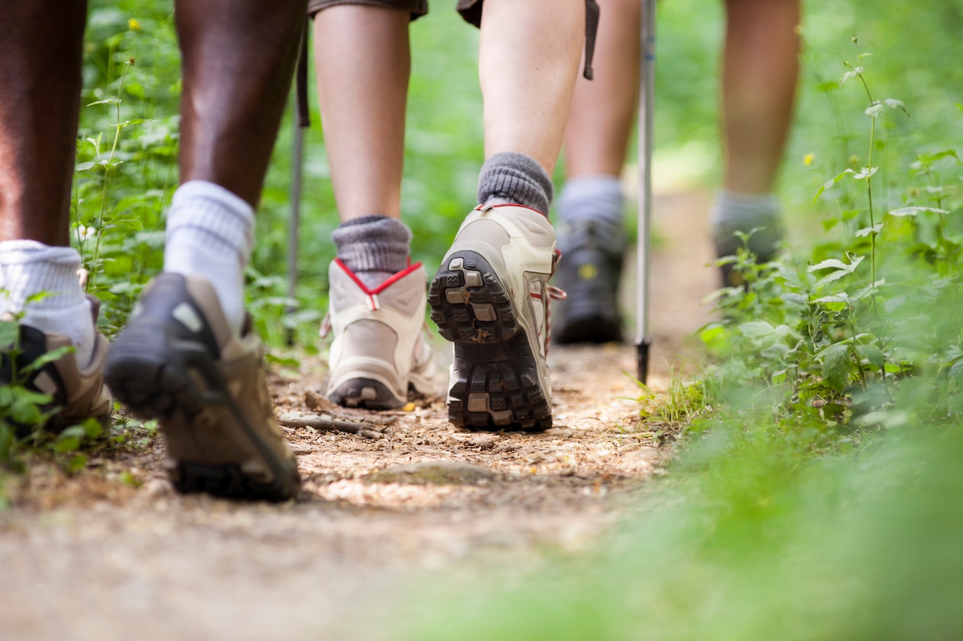 Shoes of people trekking in wood